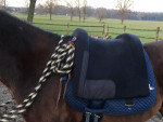 Barebackpad Support Small/ Medium met Dring op voorste steun